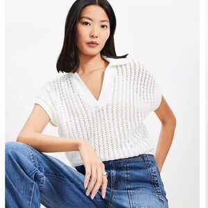 LOFT Mesh Stitch Wedge Sweater